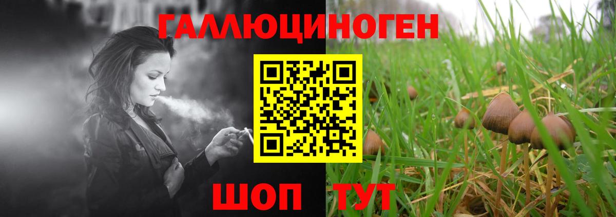 NBOMe  Экстази  Вход с VPN  Кокаин  Каменск-Шахтинский  ГАШИШ  МДМА  Лсд 25  Канабис  Меф кристаллы 